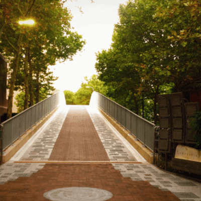 Class Of 49 Bridge Large 1 A tree-lined path leads to a bridge, lined with fences on both sides. The scene is brightly lit with a warm, inviting atmosphere.